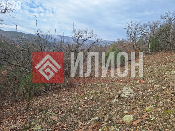 
  Продается земельный участок 5 соток. Фото 14.
