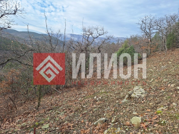 
  Продается земельный участок 5 соток. Фото 15.