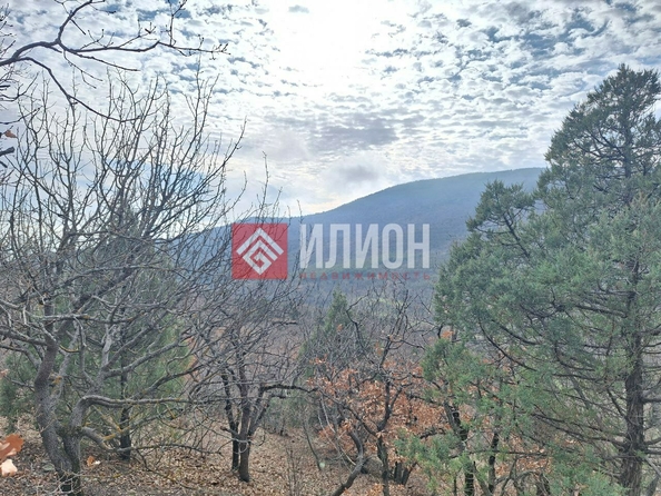 
  Продается земельный участок 5 соток. Фото 9.