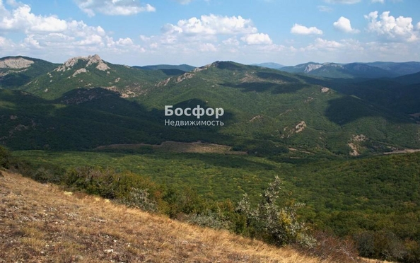 
  Продается земельный участок 200 соток. Фото 1.