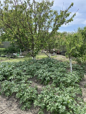 
  Продается дом 52 м². Фото 18.