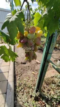 
  Продается дом 83.2 м². Фото 9.