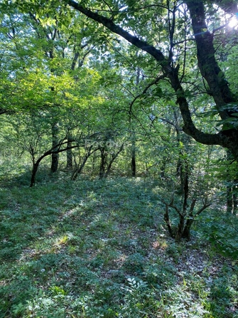
  Продается земельный участок 75 соток. Фото 1.