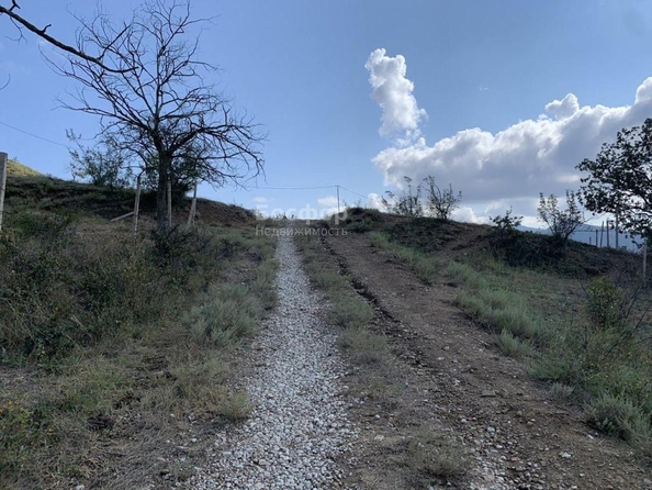 
  Продается земельный участок 15 соток. Фото 15.