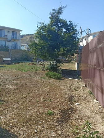 
  Продается земельный участок 5 соток. Фото 7.