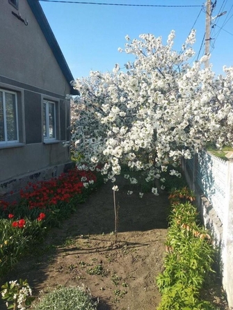 
  Продается дом 65.8 м². Фото 20.