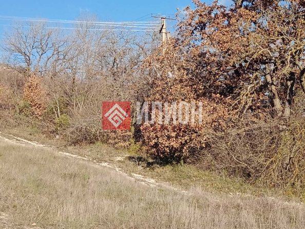 
  Продается земельный участок 10 соток. Фото 5.