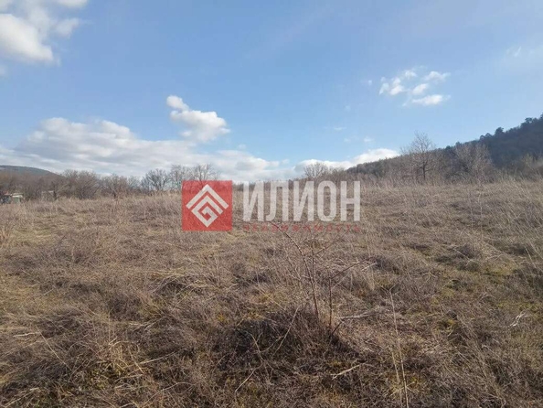 
  Продается земельный участок 97 соток. Фото 6.