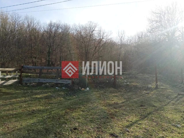 
  Продается земельный участок 60 соток. Фото 2.