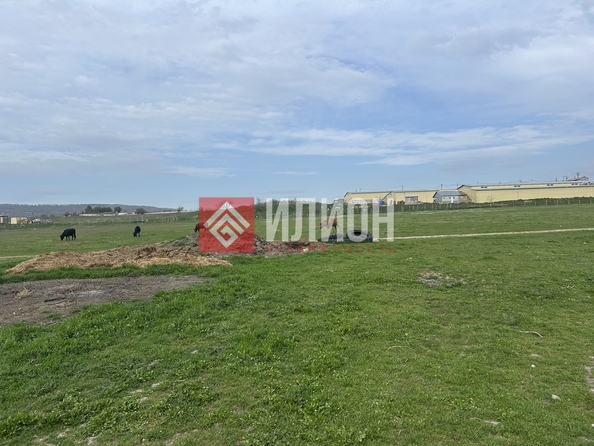 
  Продается земельный участок 50 соток. Фото 1.