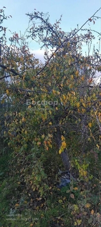 
  Продается дача 28 м². Фото 29.