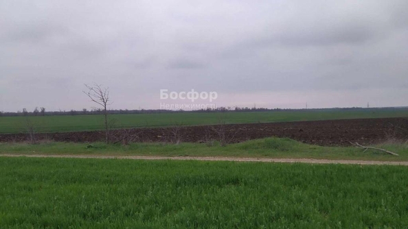 
  Продается земельный участок 200 соток. Фото 1.