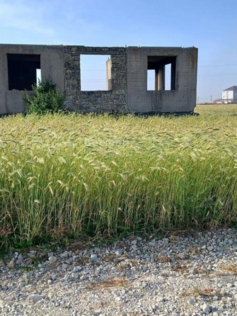 
  Продается земельный участок 8 соток. Фото 2.