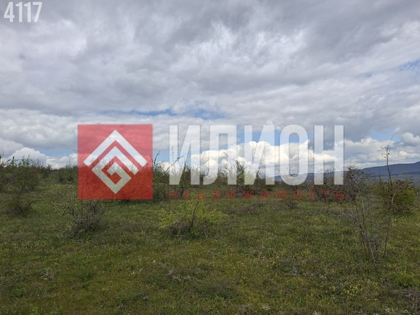 
  Продается земельный участок 280 соток. Фото 3.