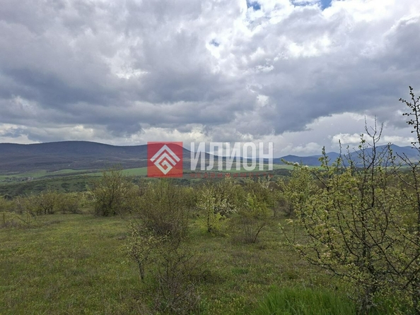 
  Продается земельный участок 280 соток. Фото 1.