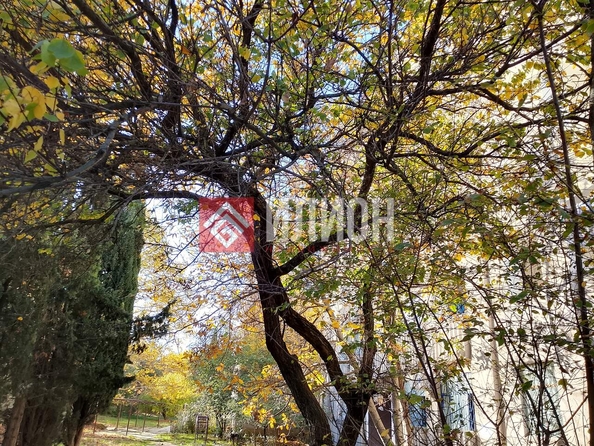 
  Продается 1-комн. квартира 42.7 м². Фото 28.