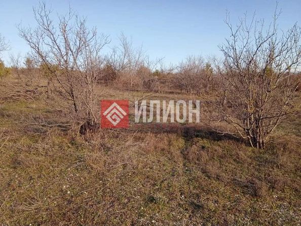 
  Продается земельный участок 102.7 сотки. Фото 11.