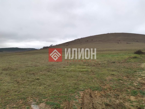 
  Продается земельный участок 37 соток. Фото 1.
