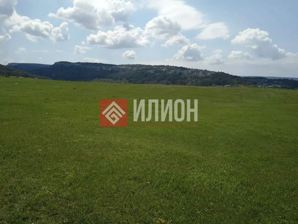 
  Продается земельный участок 80 соток. Фото 9.