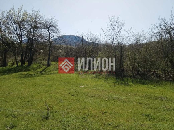 
  Продается земельный участок 116 соток. Фото 15.