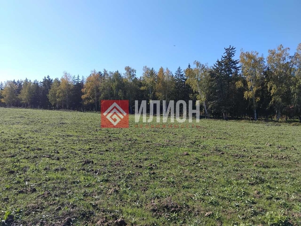 
  Продается земельный участок 12 соток. Фото 3.