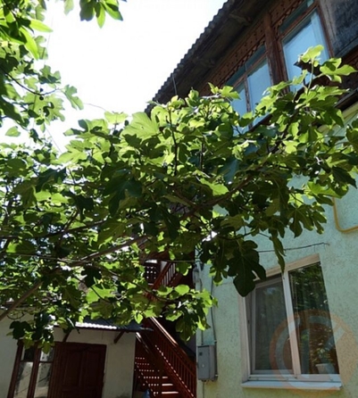 
  Продается 2-комн. квартира 50 м². Фото 13.