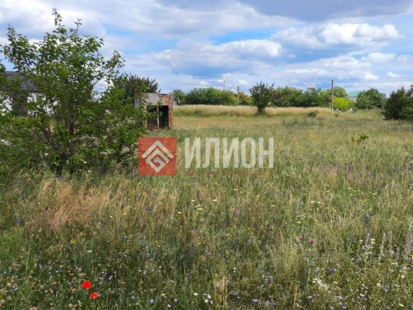 
  Продается земельный участок 11 соток. Фото 3.