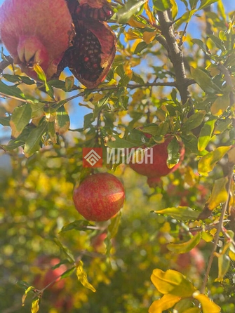 
  Продается коттедж 31 м². Фото 19.
