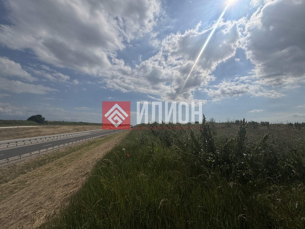 
  Продается земельный участок 64 сотки. Фото 5.