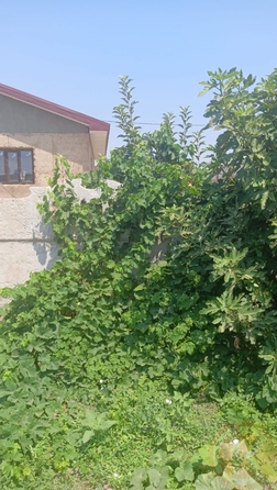 
  Продается коттедж 91.5 м². Фото 33.