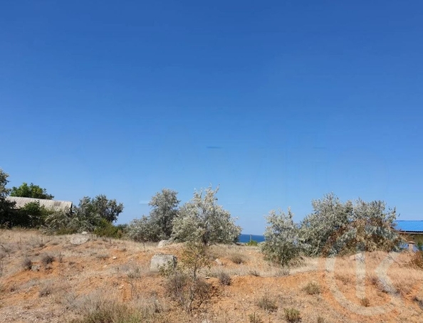 
  Продается земельный участок 18 соток. Фото 4.