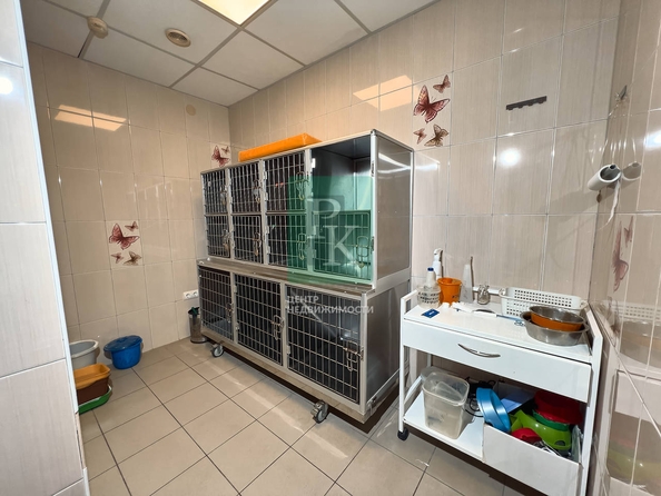 
  Продается универсальное помещение 241.6 м². Фото 16.