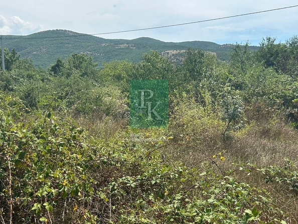 
  Продается земельный участок 7 соток. Фото 4.