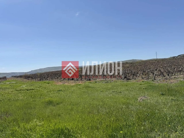 
  Продается земельный участок 4.2 сотки. Фото 7.