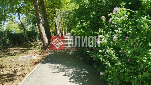 
  Продается 1-комн. квартира 31 м². Фото 20.