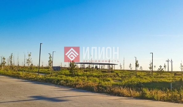 
  Продается земельный участок 8 соток. Фото 3.