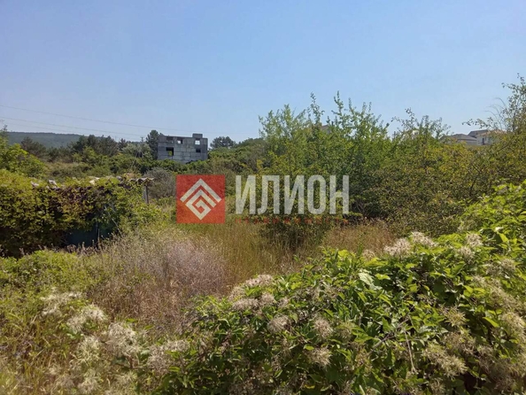 
  Продается земельный участок 10 соток. Фото 10.