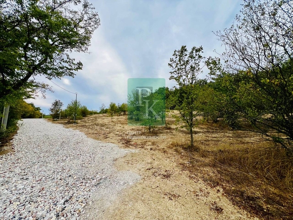 
  Продается земельный участок 70 соток. Фото 9.