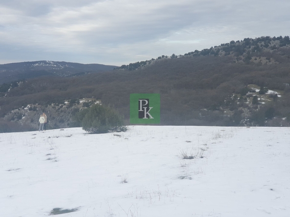 
  Продается земельный участок 256 соток. Фото 6.