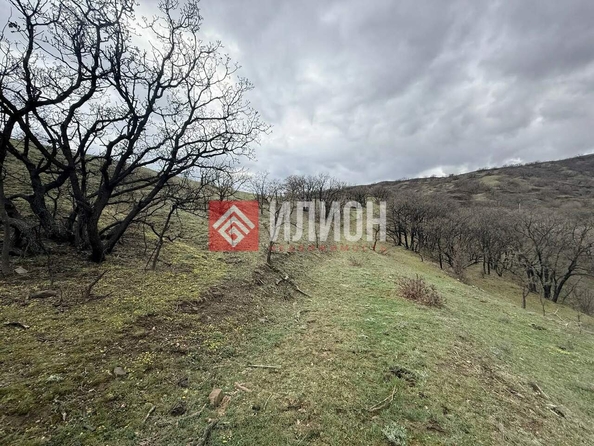 
  Продается земельный участок 4 сотки. Фото 9.