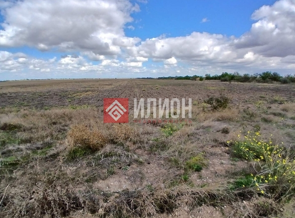 
  Продается земельный участок 600 соток. Фото 3.