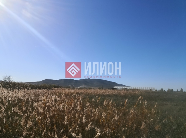 
  Продается земельный участок 243 сотки. Фото 1.