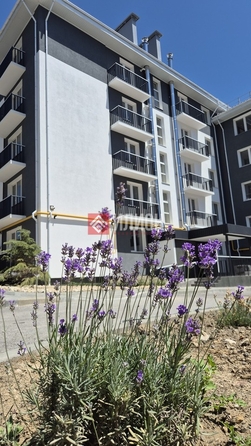 
  Продается 1-комн. квартира 31 м². Фото 1.