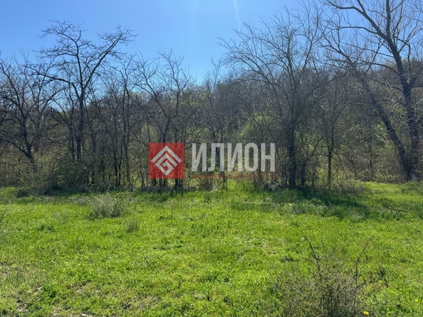 
  Продается земельный участок 8 соток. Фото 2.