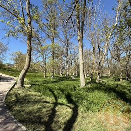 
  Продается земельный участок 8 соток. Фото 10.