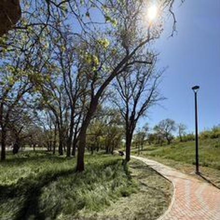 
  Продается земельный участок 8 соток. Фото 11.