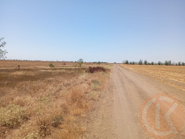 
  Продается земельный участок 463.4 сотки. Фото 4.