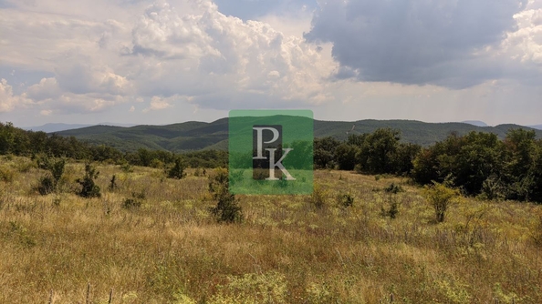 
  Продается земельный участок 50 соток. Фото 5.