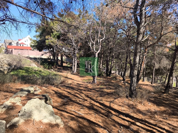 
  Продается земельный участок 8.1 соток. Фото 13.