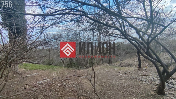 
  Продается земельный участок 10.1 соток. Фото 4.